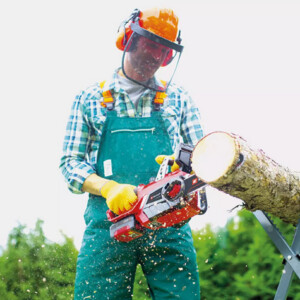 einhell moto 4