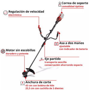 EINHELL DESMALEZADORA